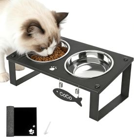 Elevated Cat Bowls with Splash Proof Mat for Kitten Puppy, 10° Tilted Raised Cat Bowl Stand Anti-Vomiting, 2 Wide Shallow Stainless Steel Bowls, Whi